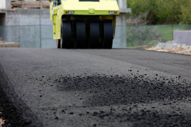 Best Residential Paver Driveway  in Anamosa, IA